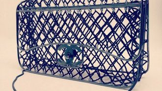 Chanel Cage Timeless Flap Bags