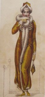 Walking outfit, Ackerman's Repository, Vol. 5, Feb. 1, 1811